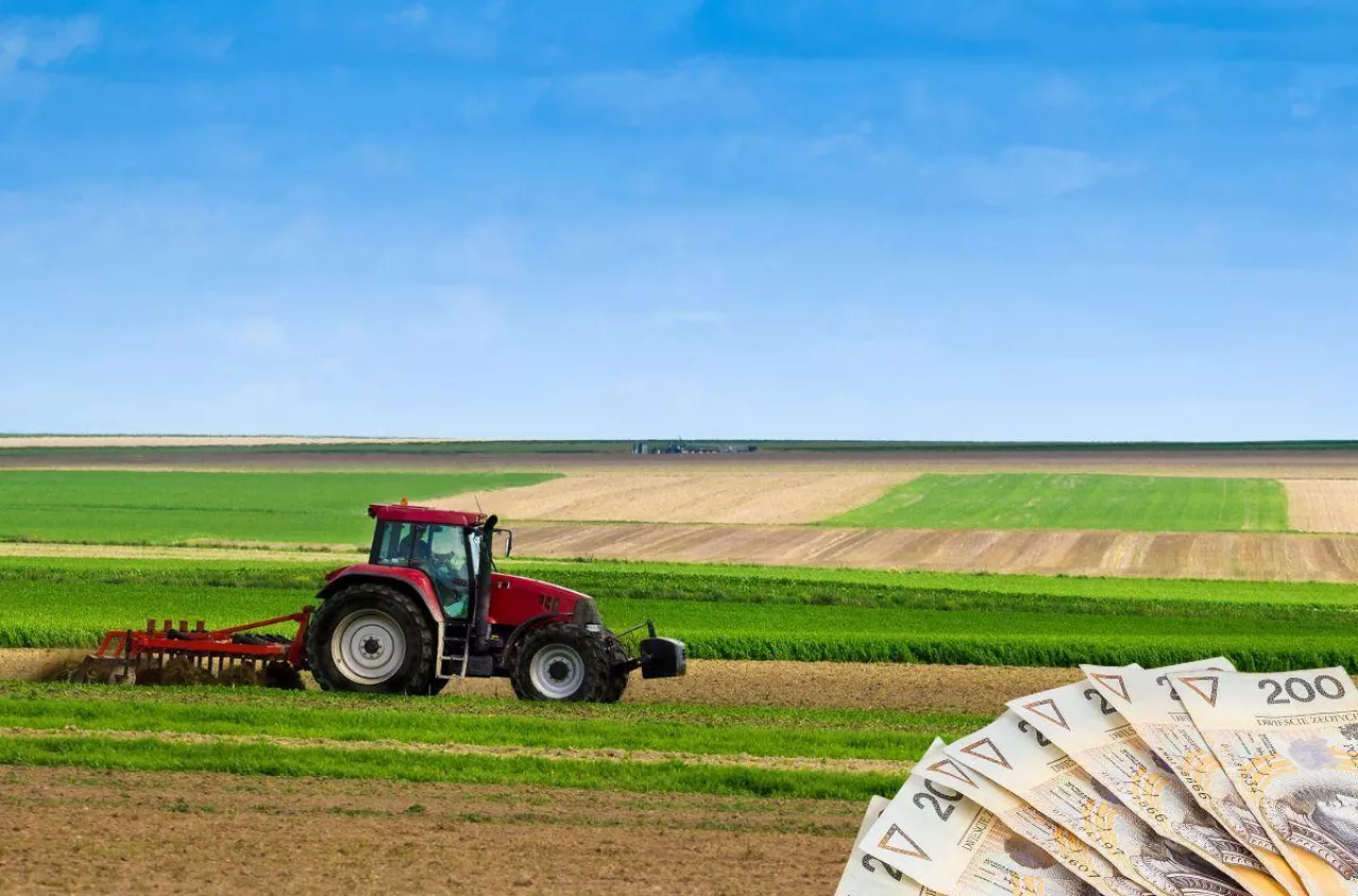 70 ha ziemi do wzięcia. KOWR ogłasza przetarg dla rolników