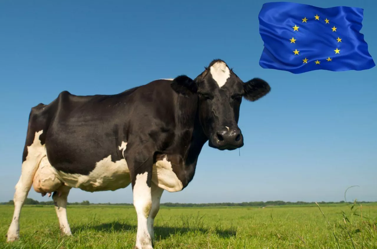 Koniec dyktatu cen w skupach? UE szykuje przełom dla rolników