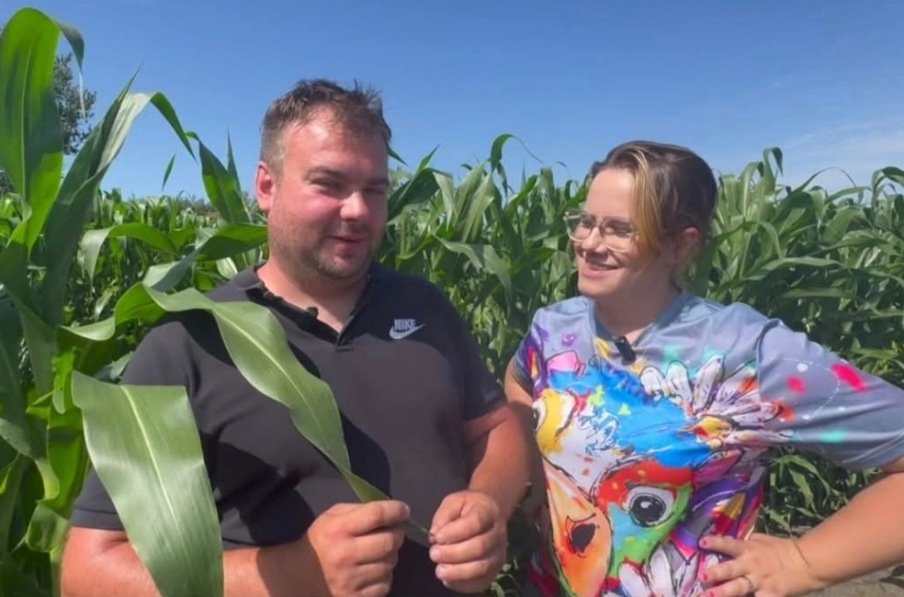 150 tys. zł z 5 hektarów. Rolnicy pokazują, jak zarobić na kukurydzy