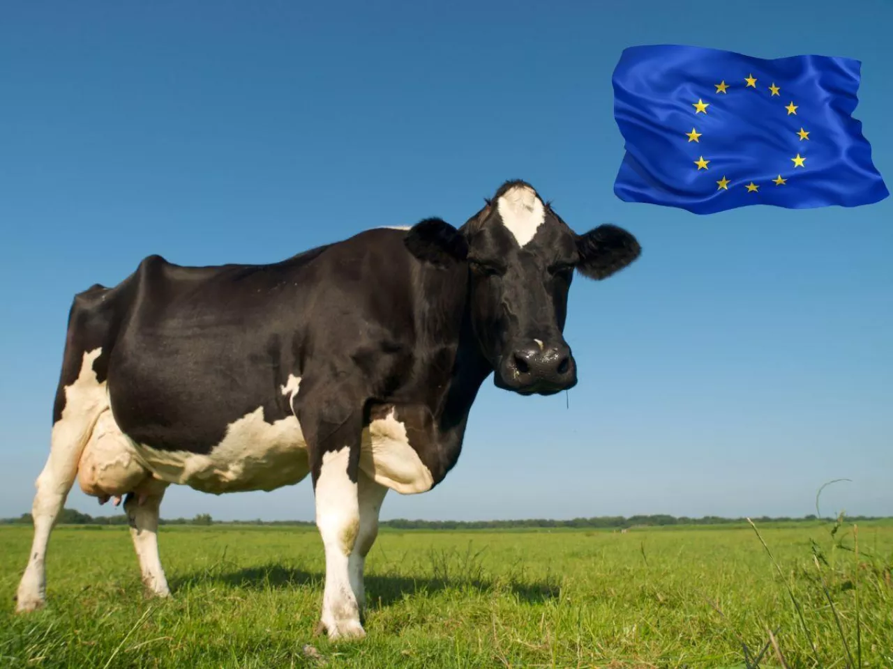 Masło w górę o 25%, ale nie wszystko rośnie. Eksport mleka z UE zaskakuje