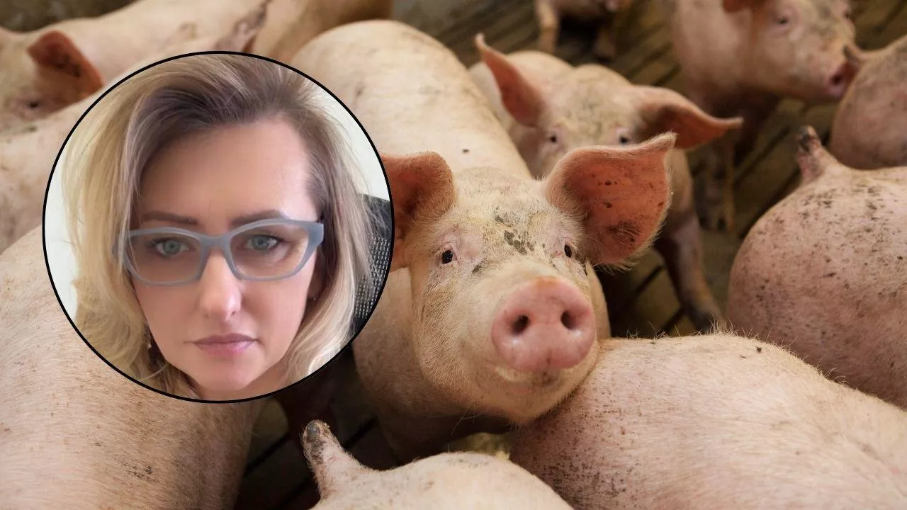 Ewa Szydłowska z Kazimierzowa (pow. łosicki, gm. Stara Kornica) razem z mężem prowadzi chów trzody chlewnej w cyklu otwartym, dysponując chlewnią na 2 tys. sztuk