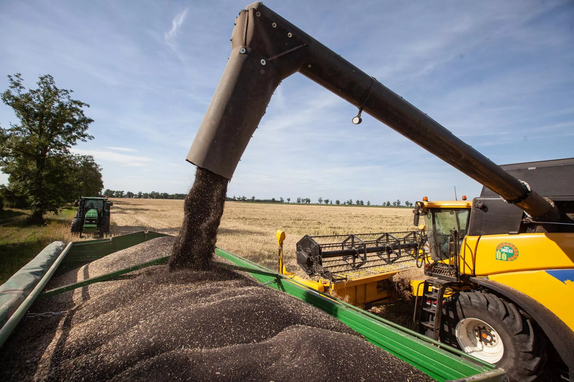 Ile zapłacą za rzepak w żniwa 2026? Znamy nowe ceny kontraktów