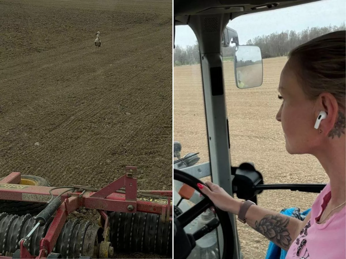 „Nie odróżniałam zboża”. Dziś ma 500 ha i mówi: koszty nas zjadają