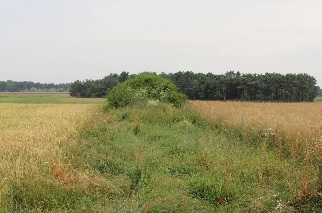 Awantura o miedzę i groźby podpalenia. Co może zrobić rolnik?