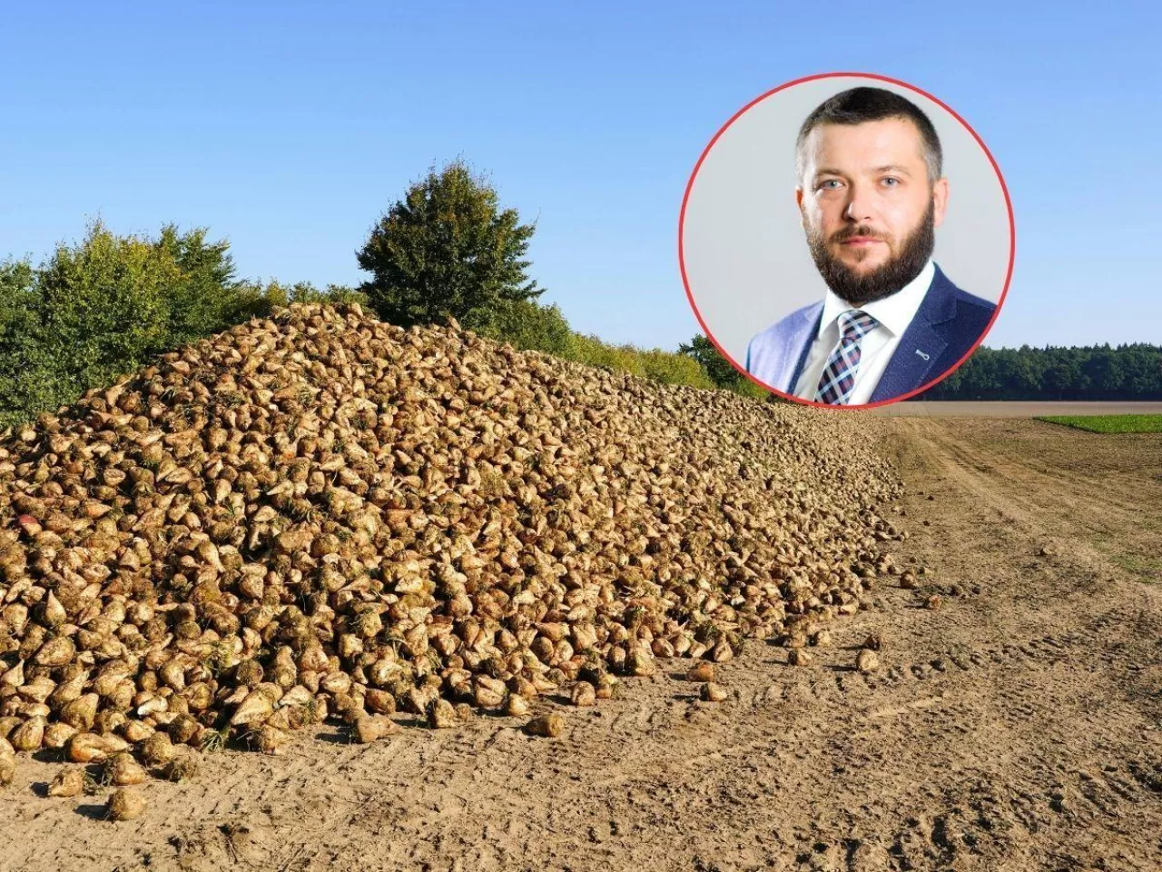 Ekspert o rynku cukru