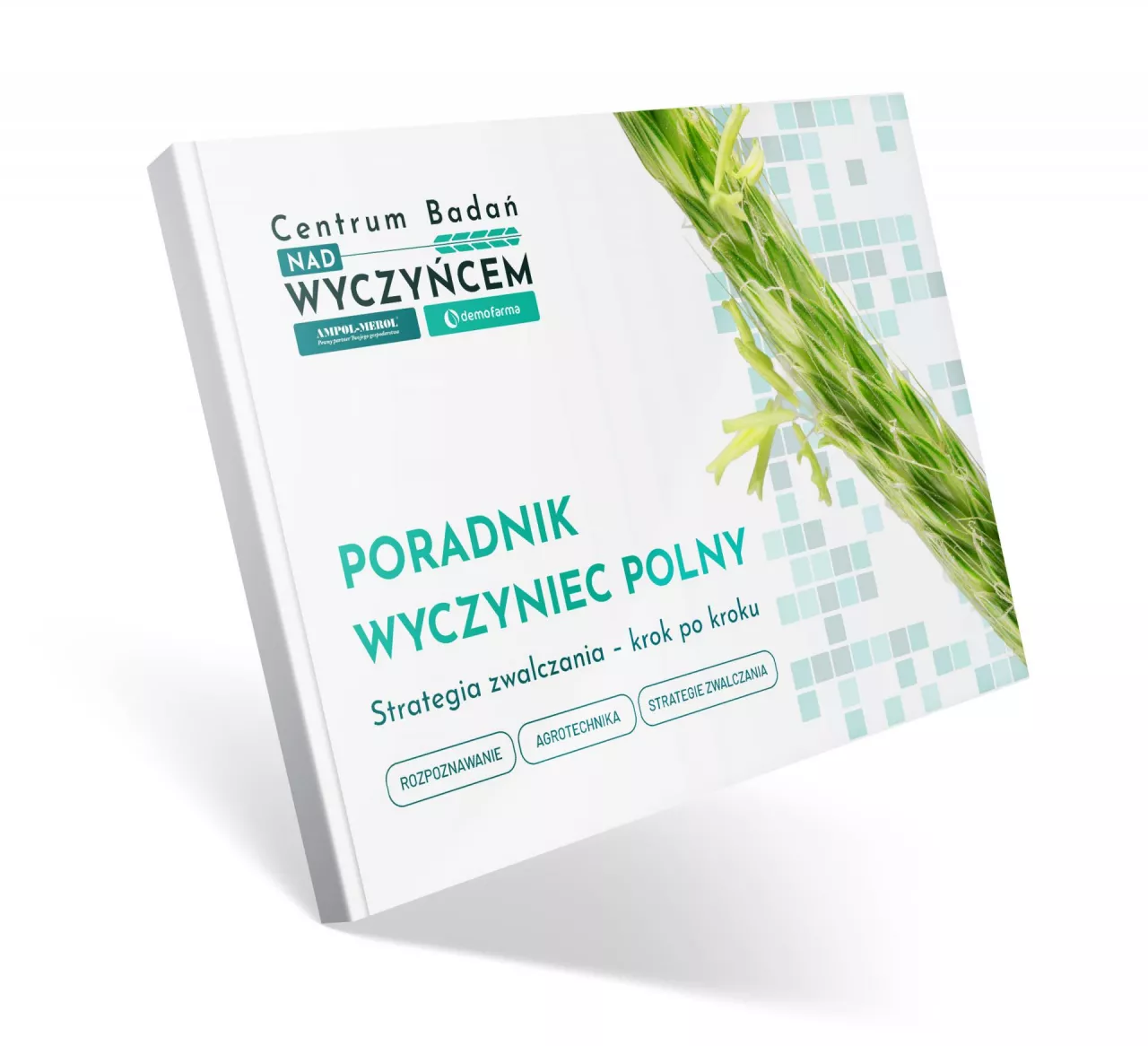 Poradnik Wyczyniec Polny