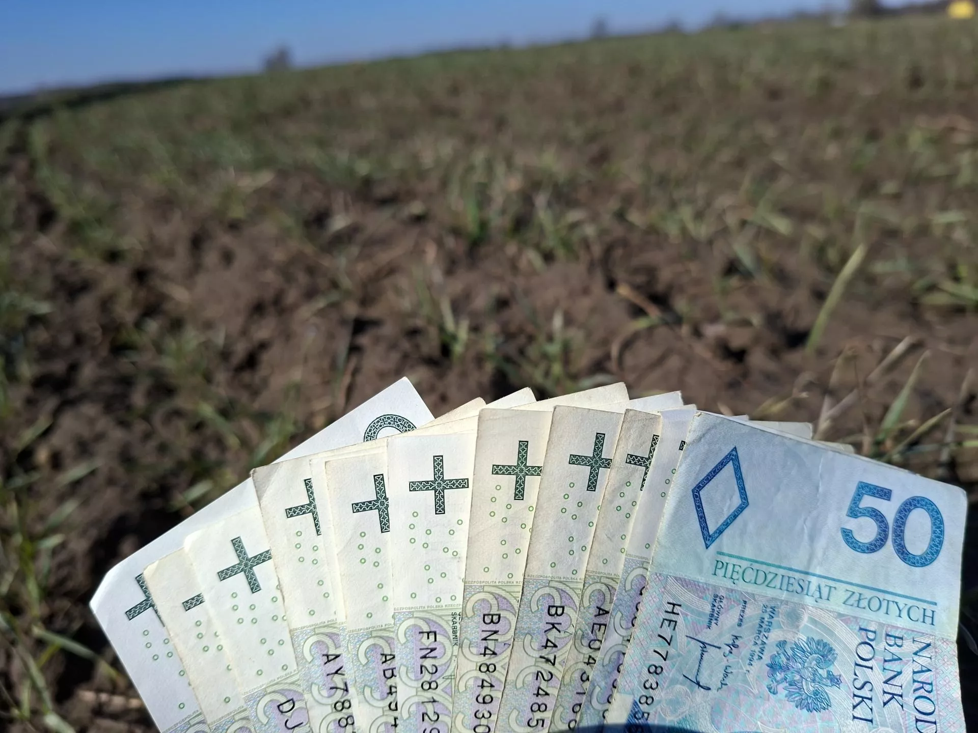 Rolnik pożyczył kuzynowi pieniądze. Jest prostszy sposób niż drogi pozew