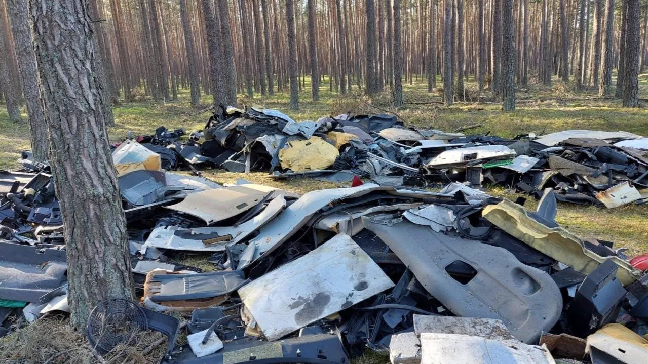 Sąsiad wjeżdża do lasu i wyrzuca śmieci. Grożą mu konkretne kary