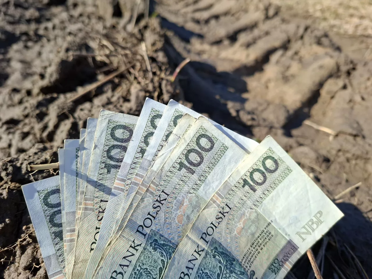 Czy zmiana planu miejscowego zawsze wiąże się z opłatą przy sprzedaży gruntu przez rolnika?