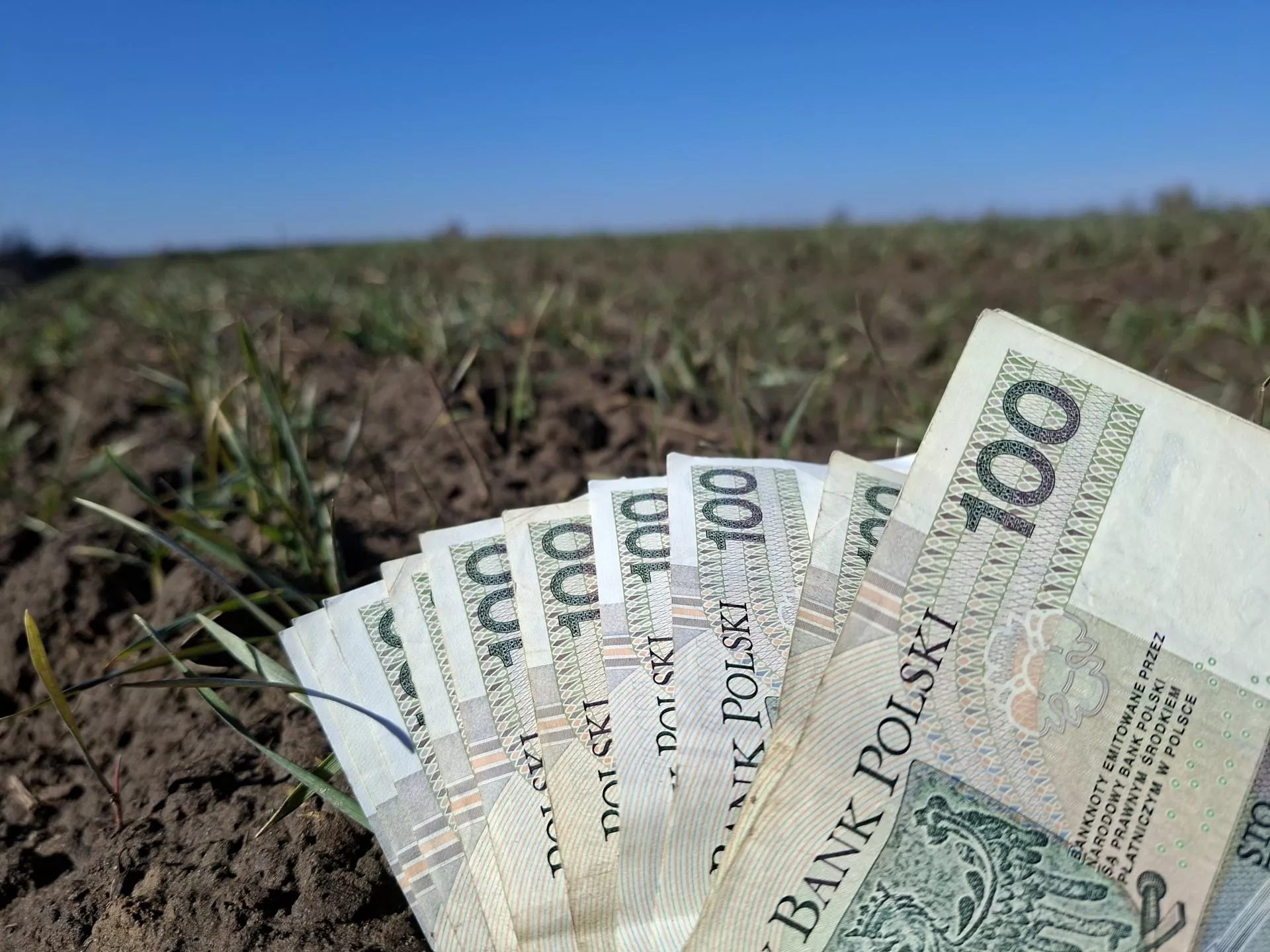 Dopłaty 2026: ile za rolnictwo węglowe? Sprawdź stawki