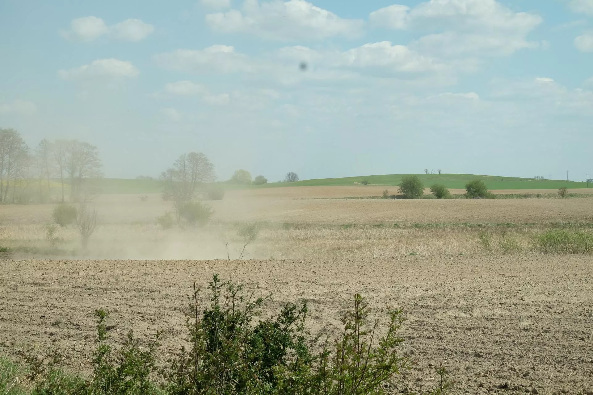 Susza uderza w pola. Jak zatrzymać wodę w glebie i uratować plony