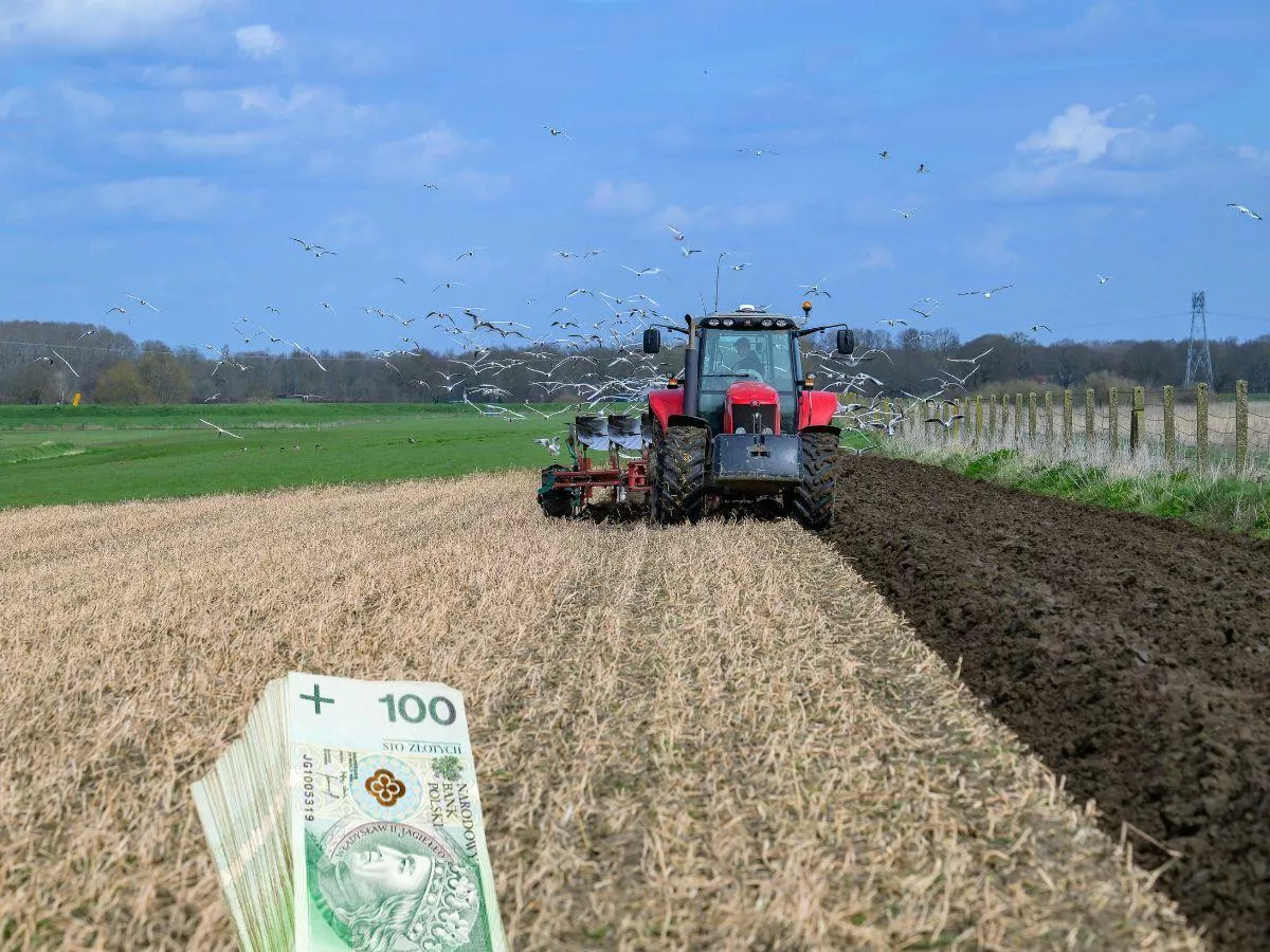 84 ha z budynkami po PGR za 2 miliony zł. Jest haczyk