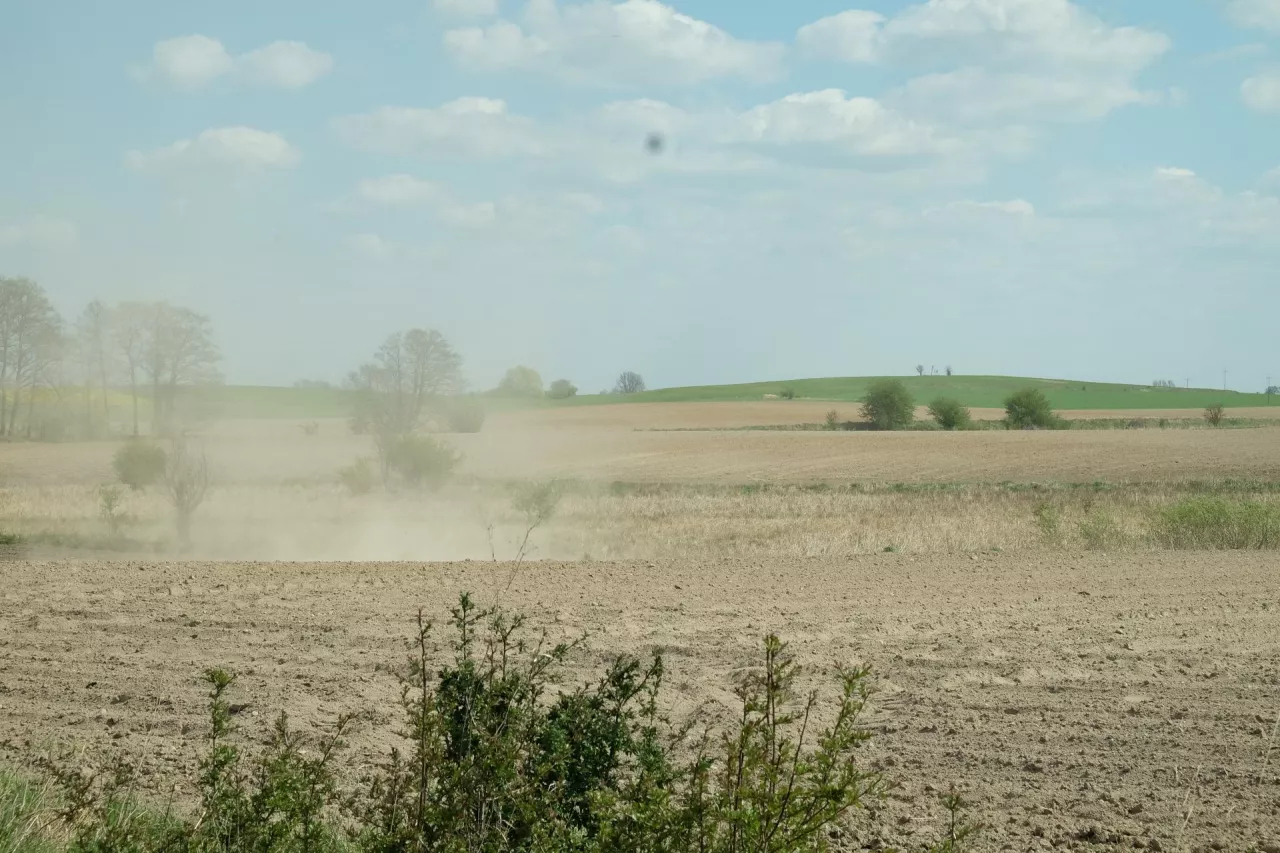 Susza uderza w pola. Jak zatrzymać wodę w glebie i uratować plony