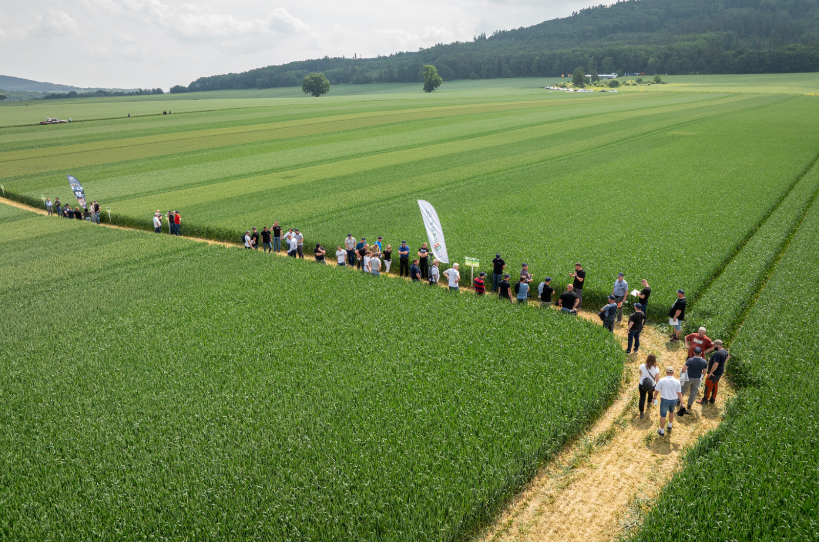 Przymrozki, susza i trudna wiosna. Zielone Pola pokażą, co dzieje się na polach