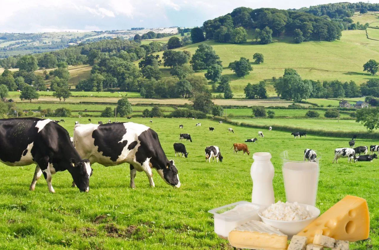 Masło mocno tanieje. Ceny mleka znów spadają na świecie