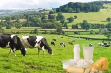 Masło mocno tanieje. Ceny mleka znów spadają na świecie