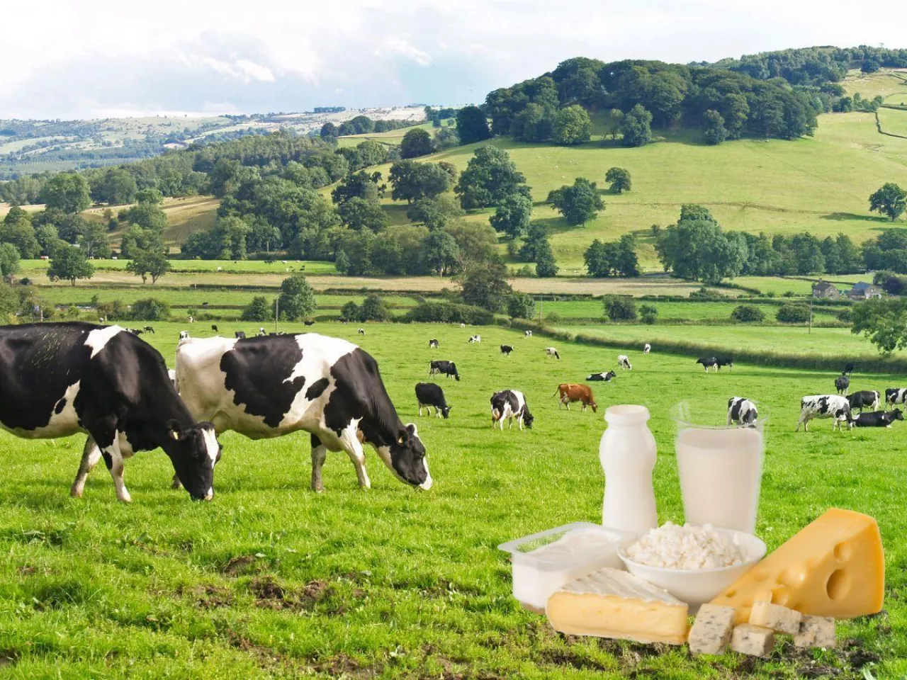 Masło mocno tanieje. Ceny mleka znów spadają na świecie