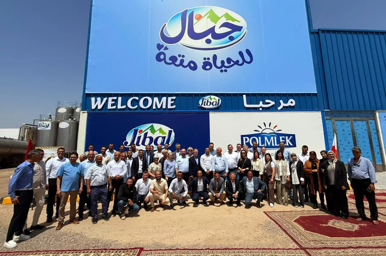 Polmlek podbija Afrykę. W Maroku ma farmę na 700 krów