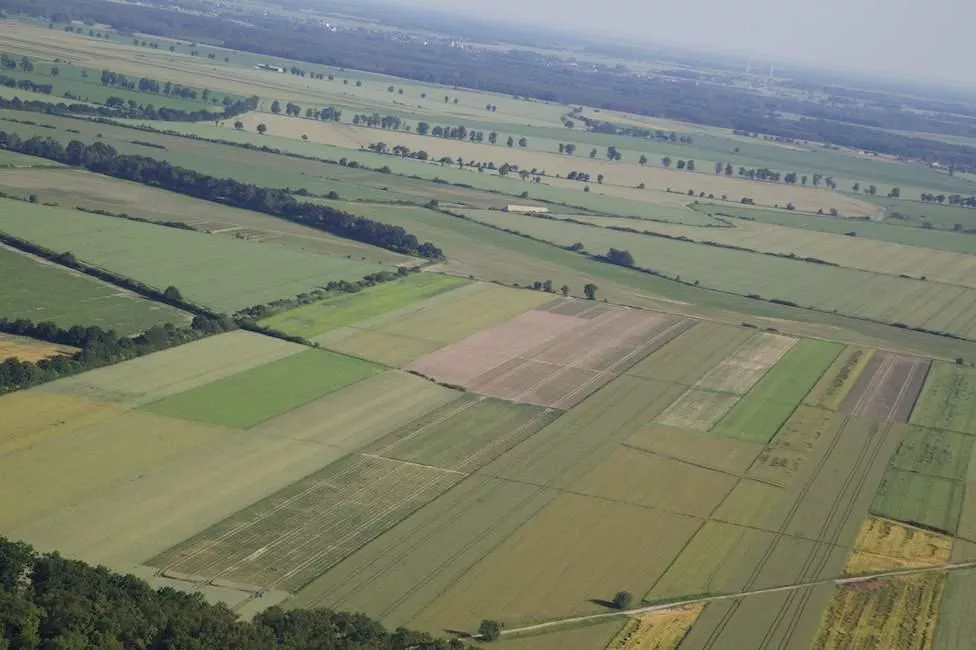 Gigantyczne gospodarstwo przejęte. Ponad 7 tys. ha zmienia właściciela