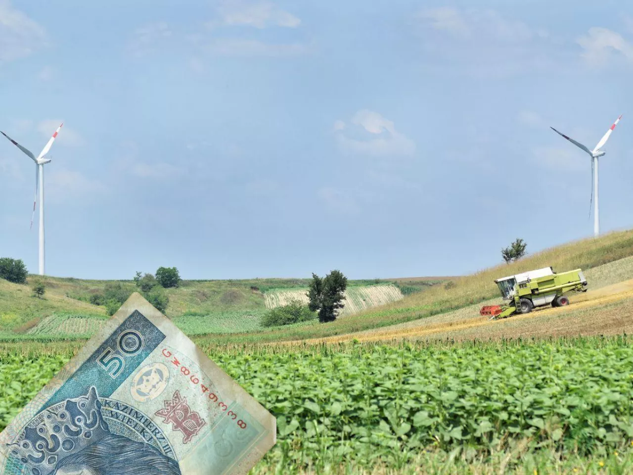 ziemia rolna, banknoty 