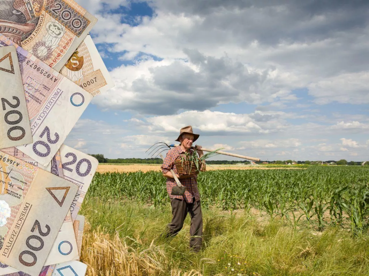 Czy rolnik emeryt może kupić ziemię rolną?