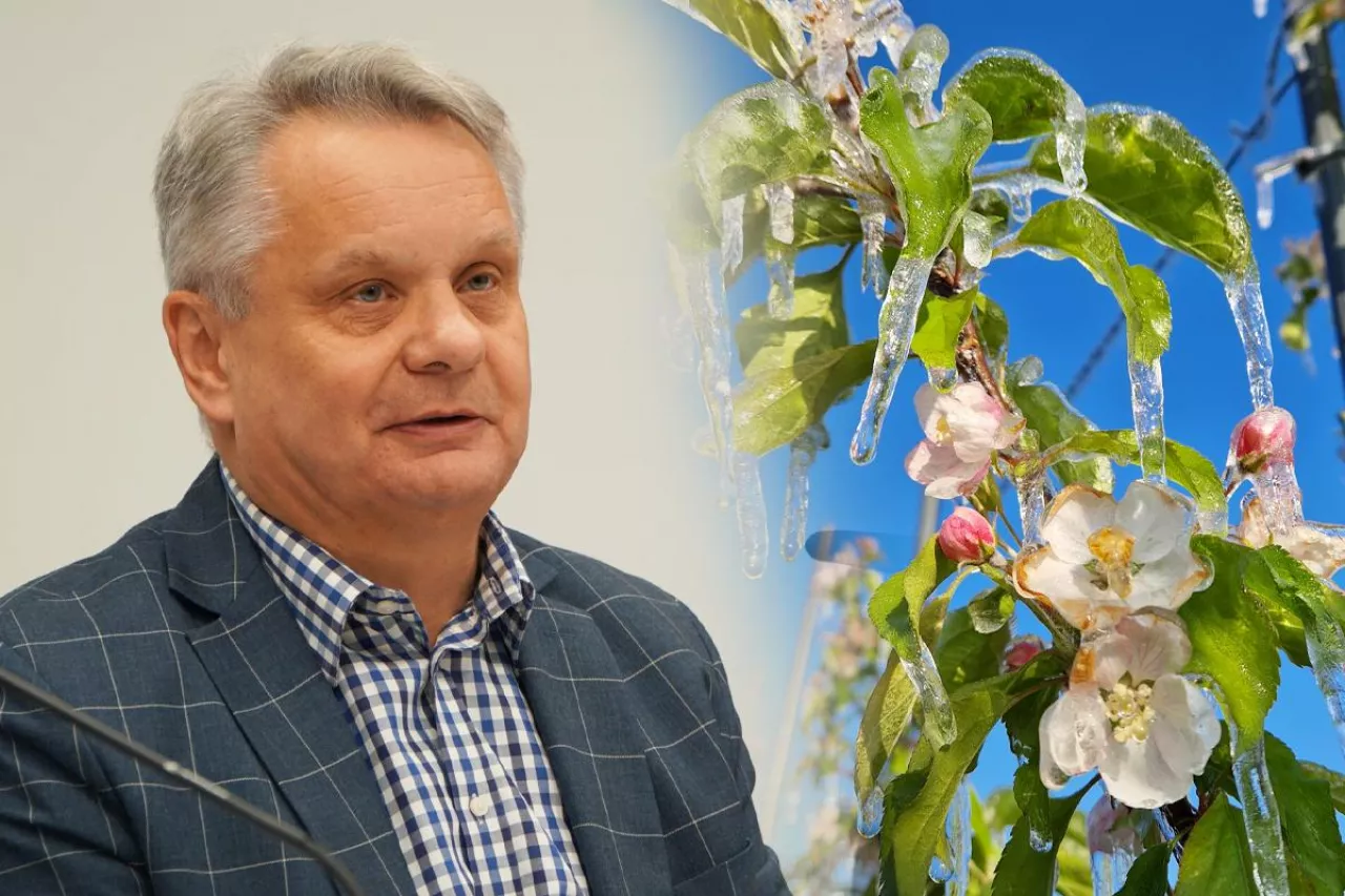 Straty sięgają nawet 100%. Rolnicy domagają się rekompensat