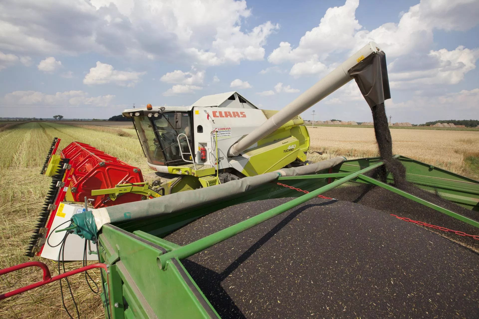 Ile zapłacą za rzepak w żniwa 2026? Są nowe ceny kontraktów