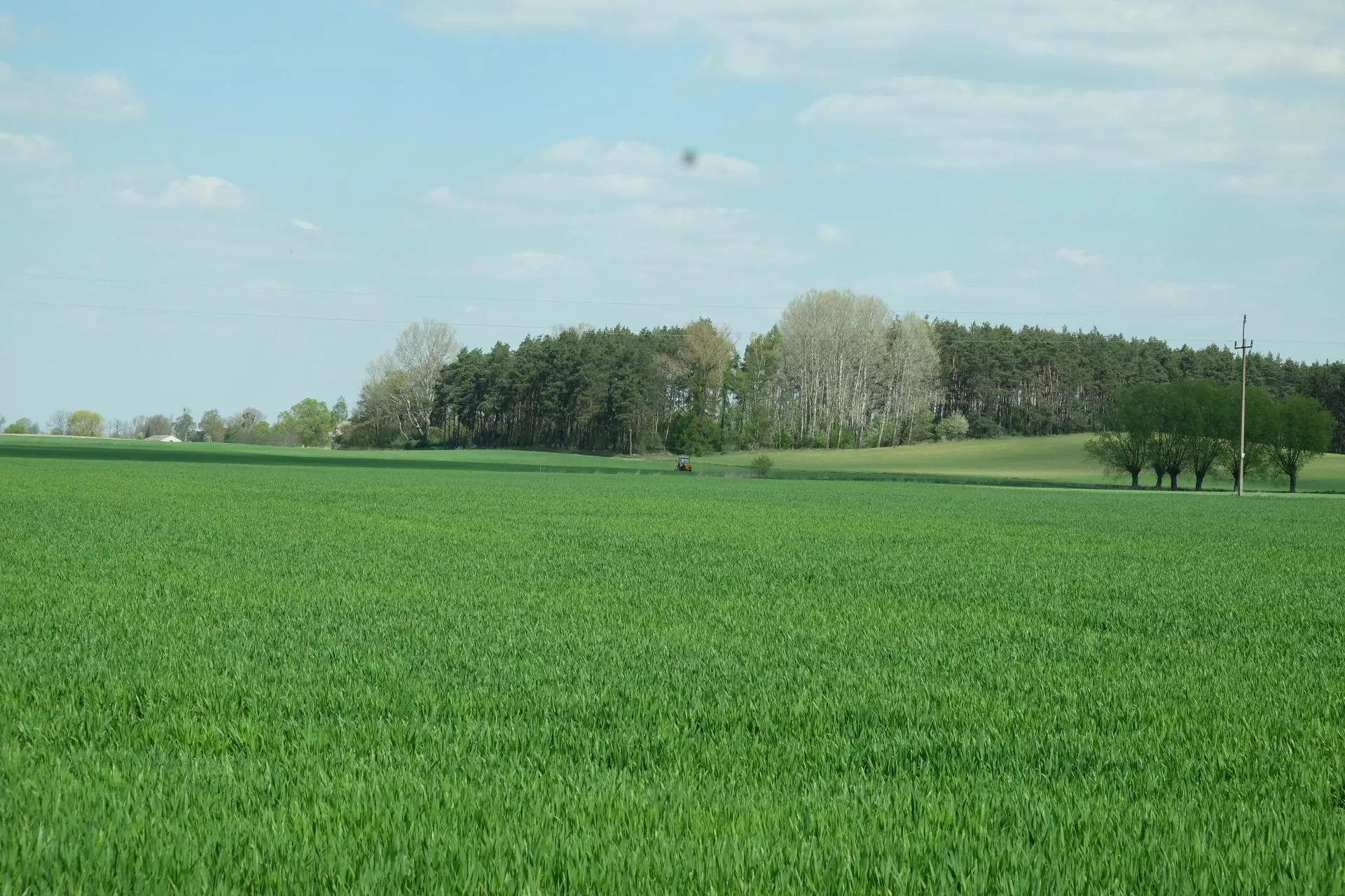 Jaki stan upraw w UE? Nowy raport KE: susza już niepokoi