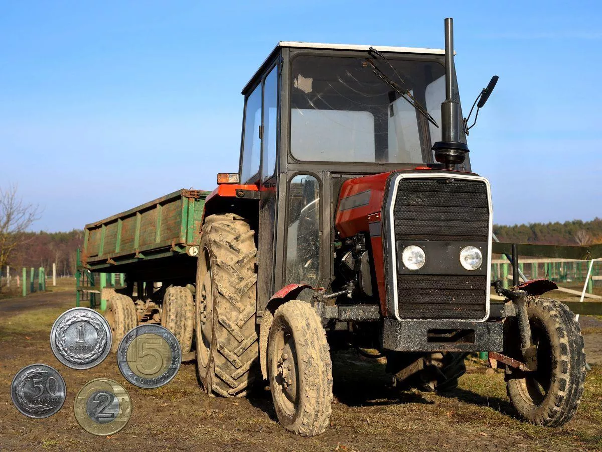 Ponad 80 ha do wzięcia. KOWR wystawił ziemię – jest haczyk