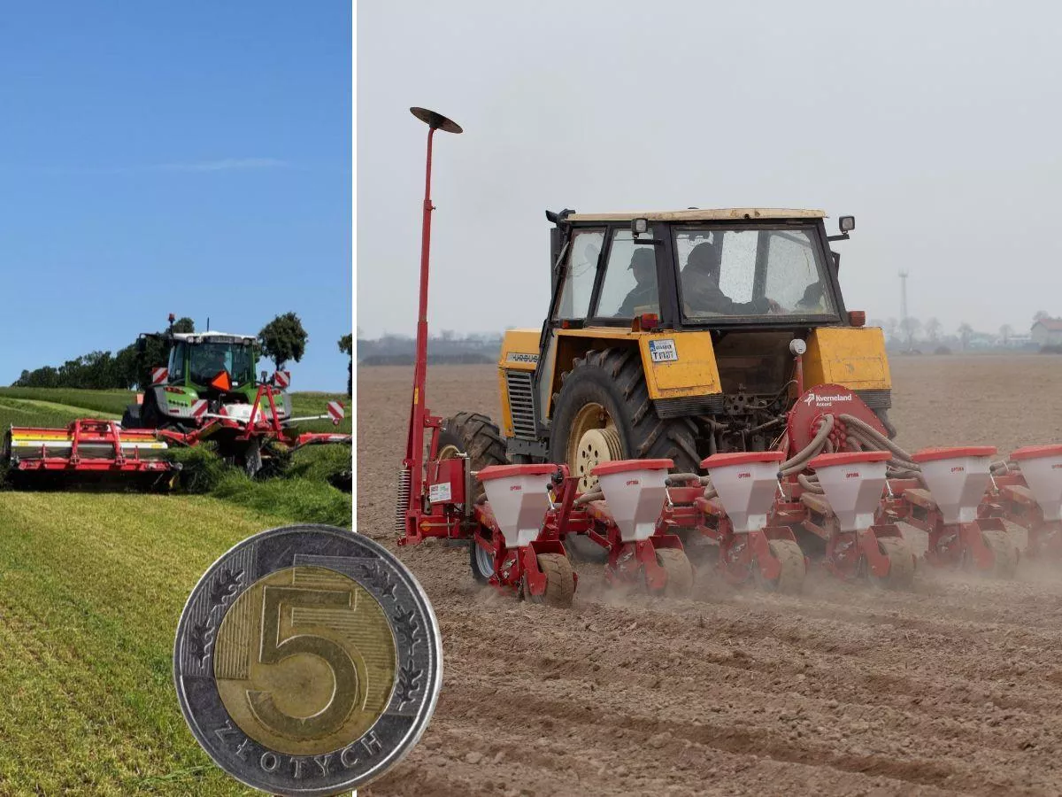 Ceny usług rolniczych: Ile za siew i pokos traw w maju 2026?