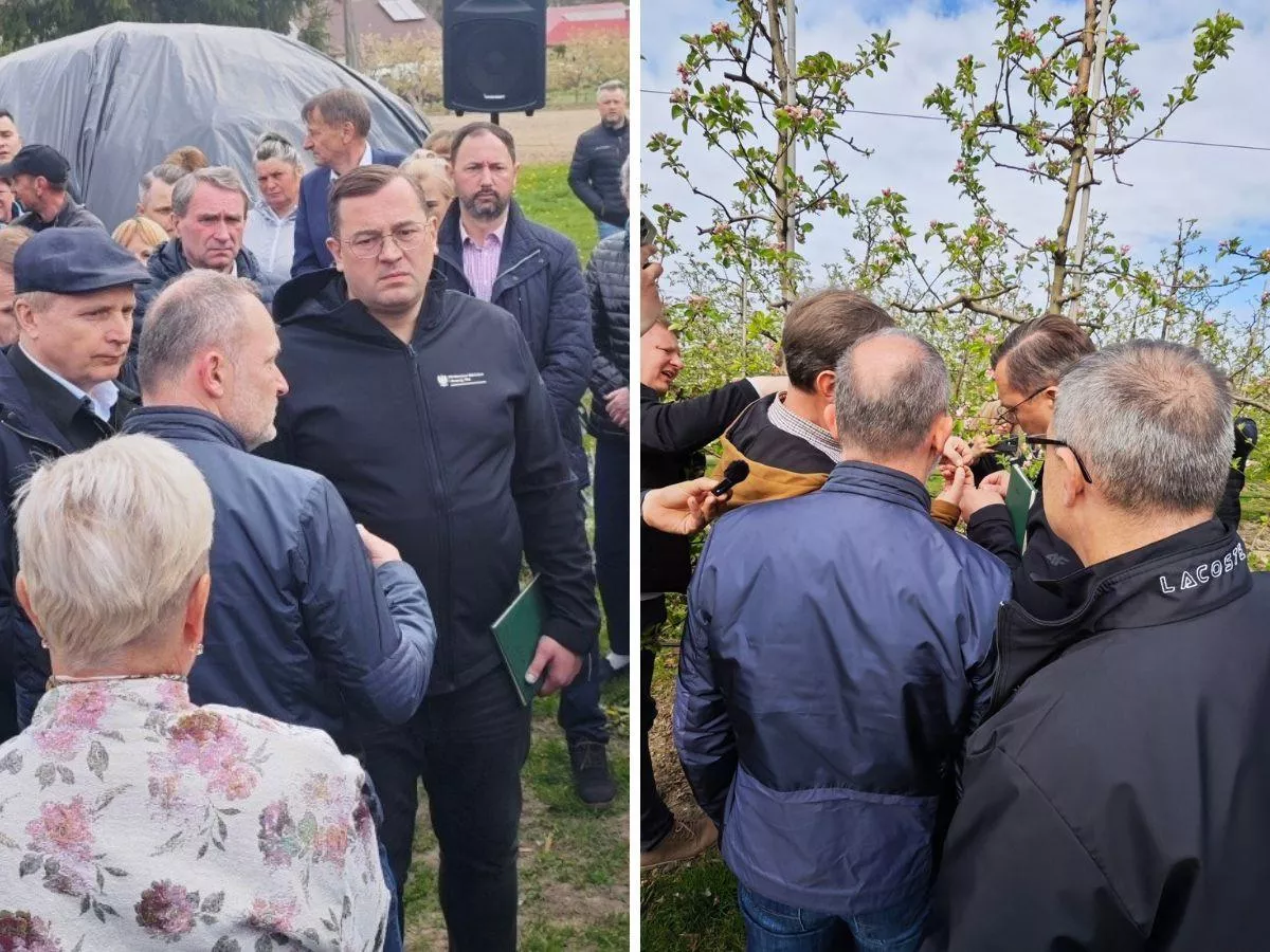 Trzeci rok klęski w sadach. „To się musi zmienić”. Minister zapowiada pomoc