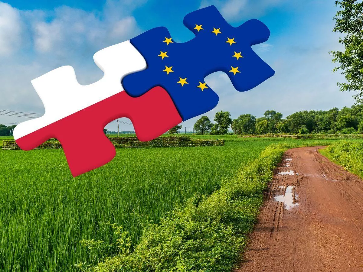 Ile polski rolnik dostał z Unii? Bilans 22 lat
