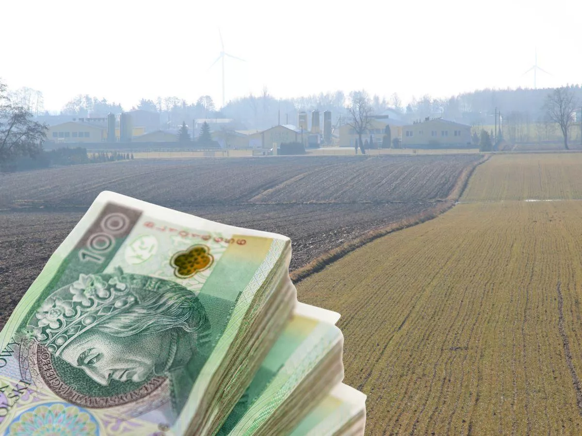 Hektar za 100 tys. zł to już norma. Te regiony są najdroższe [CENY ZIEMI]