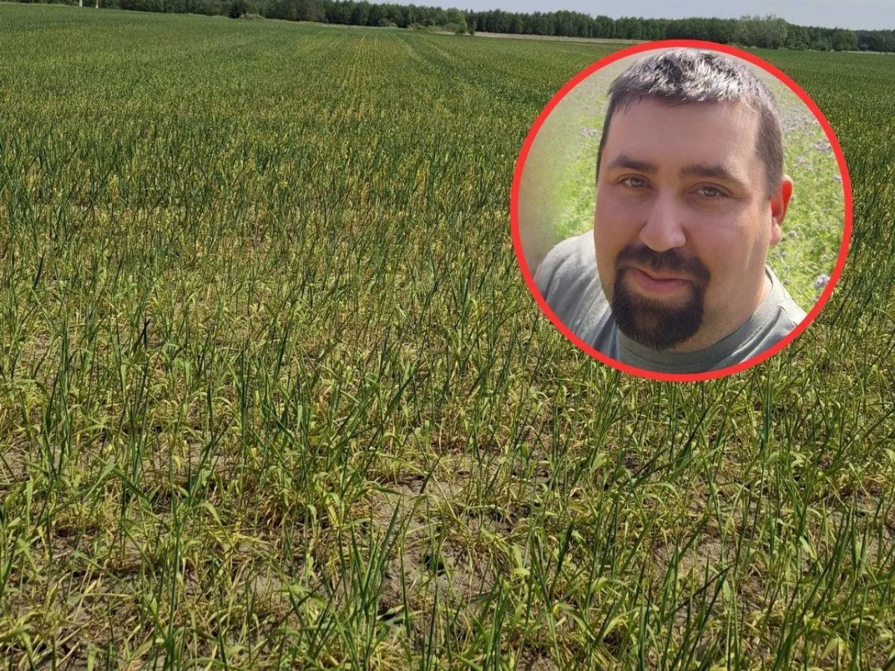 Susza 2026 w Polsce. Pola wysychają, rolnicy alarmują