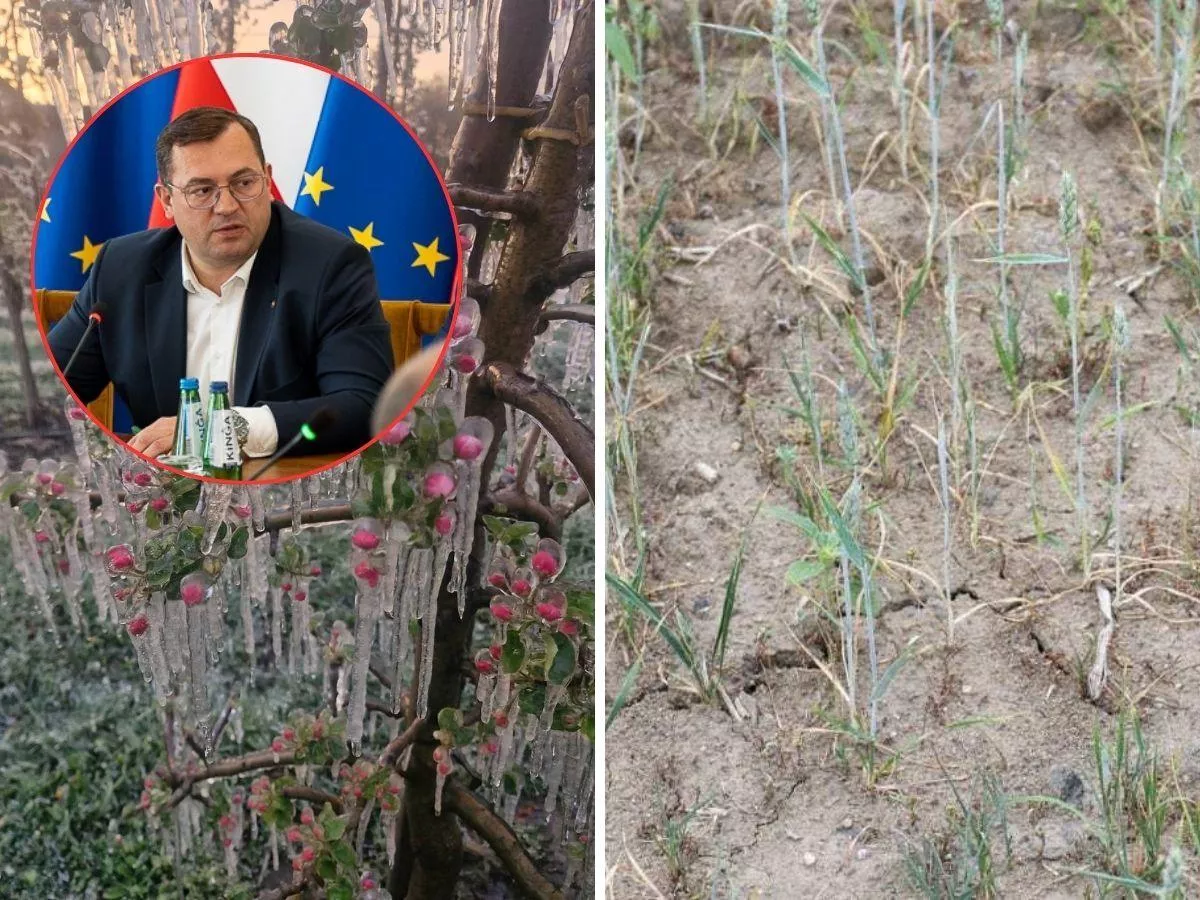 Rząd zapowiada pomoc dla rolników. „Najgorszy sezon od 40 lat”