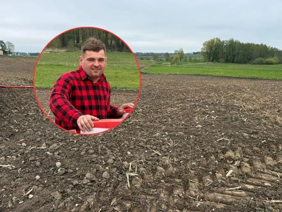 Kukurydza 2026: rolnicy ograniczają zasiewy. „Nawigacje dostają wariacji”