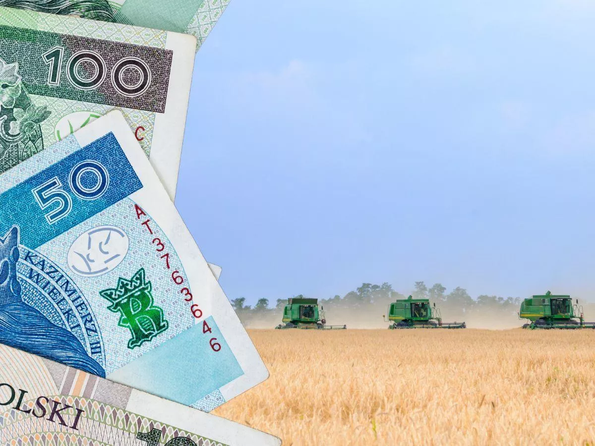 Masz ziemię z zasiedzenia? Sprawdź, kiedy możesz ją sprzedać