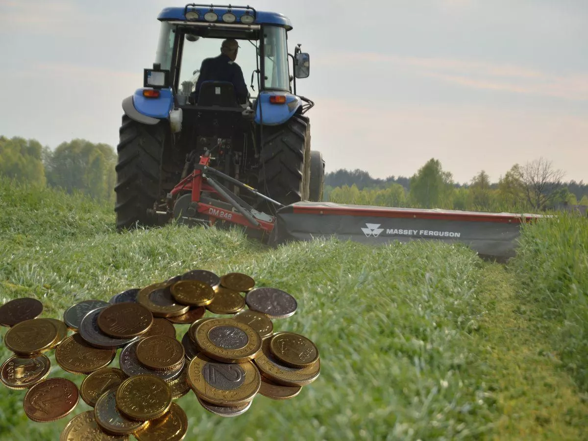 Pokos traw 2026. Ile dziś kosztuje trawa na pniu? [CENY]