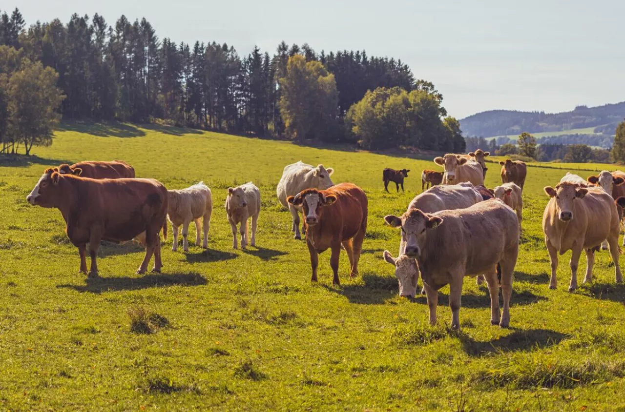 Nowy obowiązek dla rolników wywołał burzę. „Przecież ARiMR już to ma”