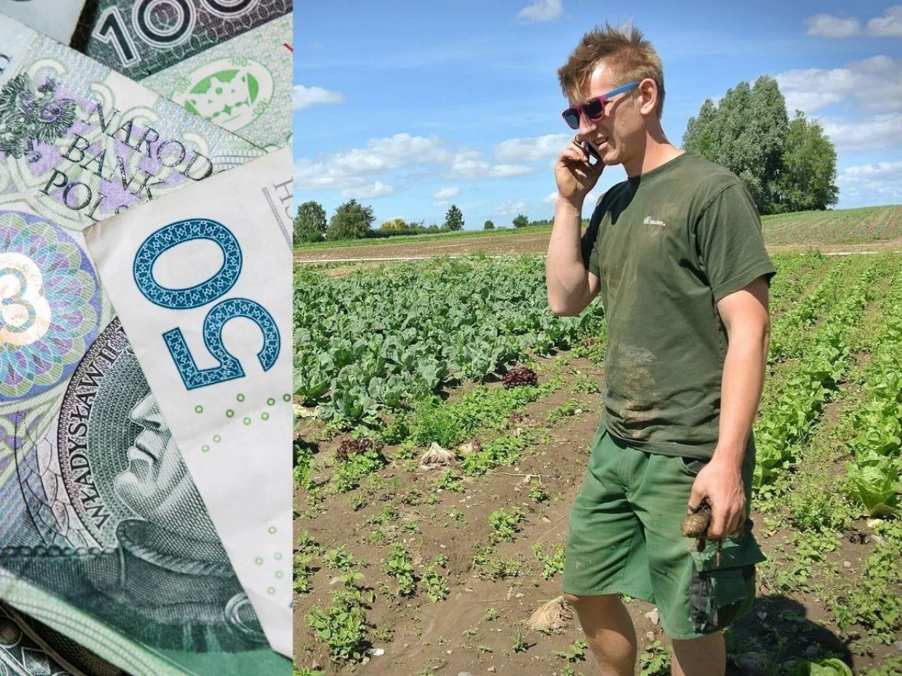 młody rolnik na polu rozmawia przez telefon, po lewej banknoty polskie