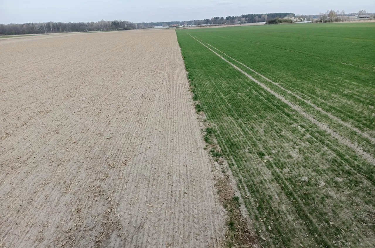 Rolnik oddał część ziemi synowi. Urząd chce zwrotu ulgi podatkowej