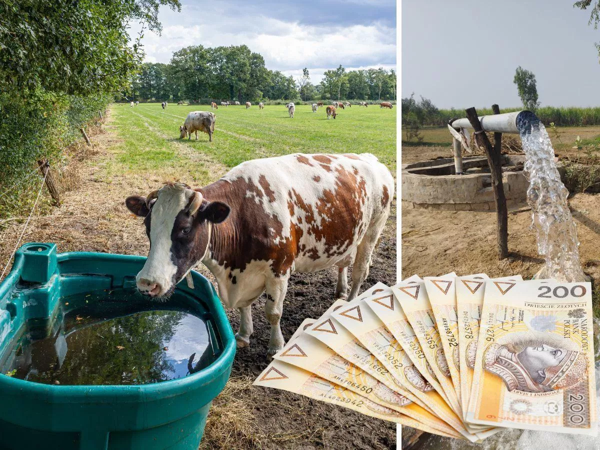 Masz studnię? Lepiej uważaj. Za pobór wody grożą kary choćby do 1 mln zł