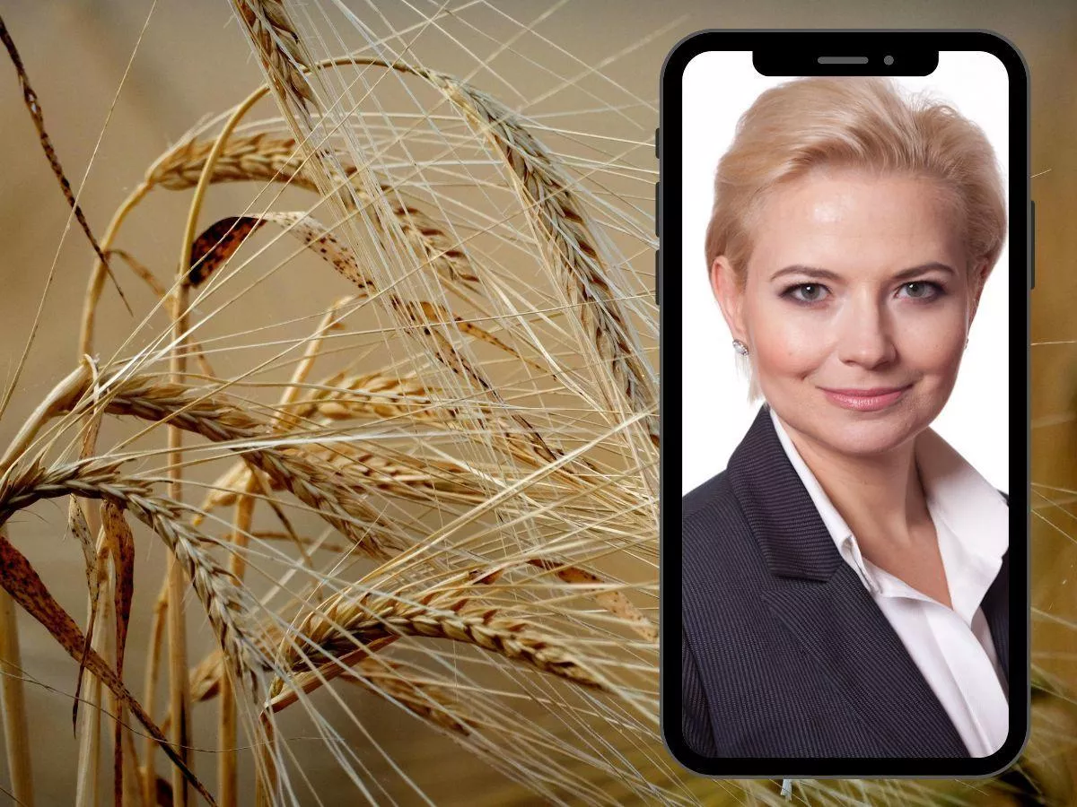 Polsce zostało 7 mln ton zboża. Co będzie z cenami przed żniwami?