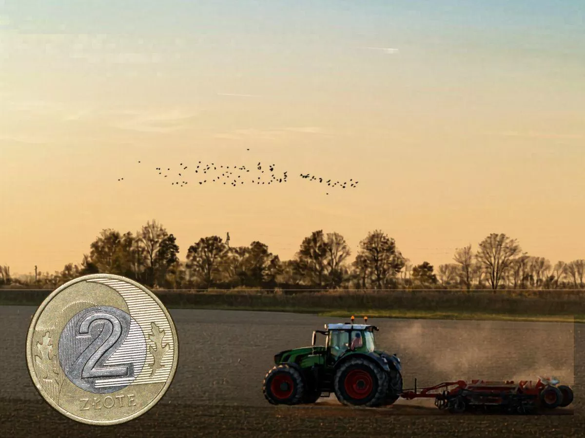Taka dzierżawa nie trafia się często. KOWR wystawia ponad 300 ha z infrastrukturą