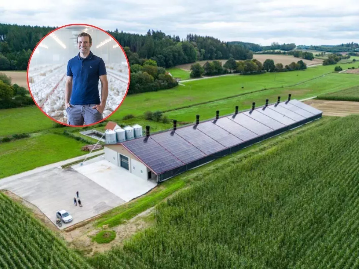 Miał 90 krów i planował nową oborę. Nagle zmienił wszystko