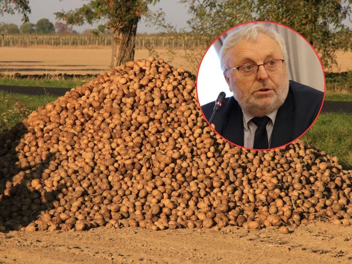 Nie mają choćby na utylizację ziemniaków. Będą dopłaty dla rolników?