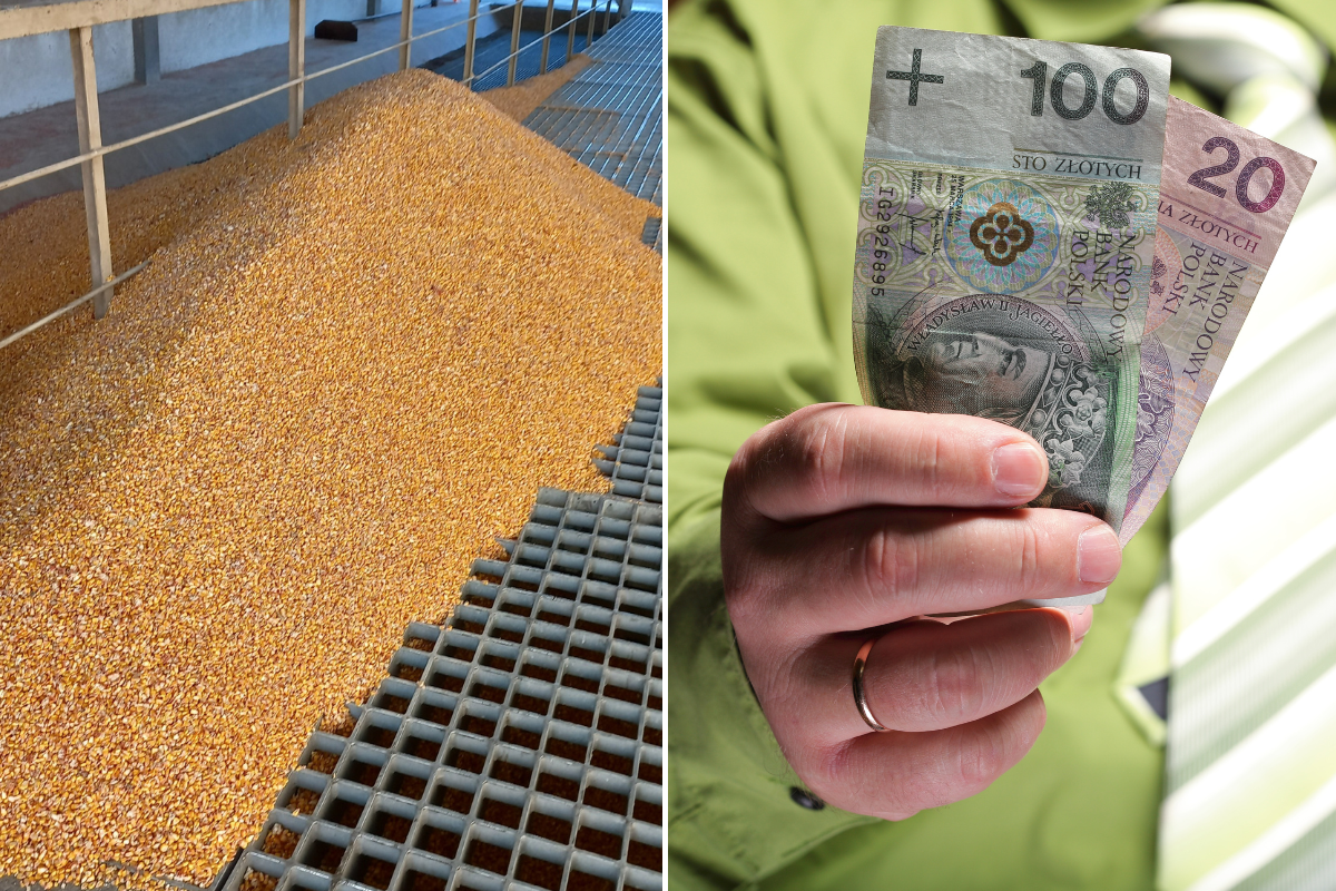 Rekompensaty dla rolników. Będzie dodatkowy nabór wniosków