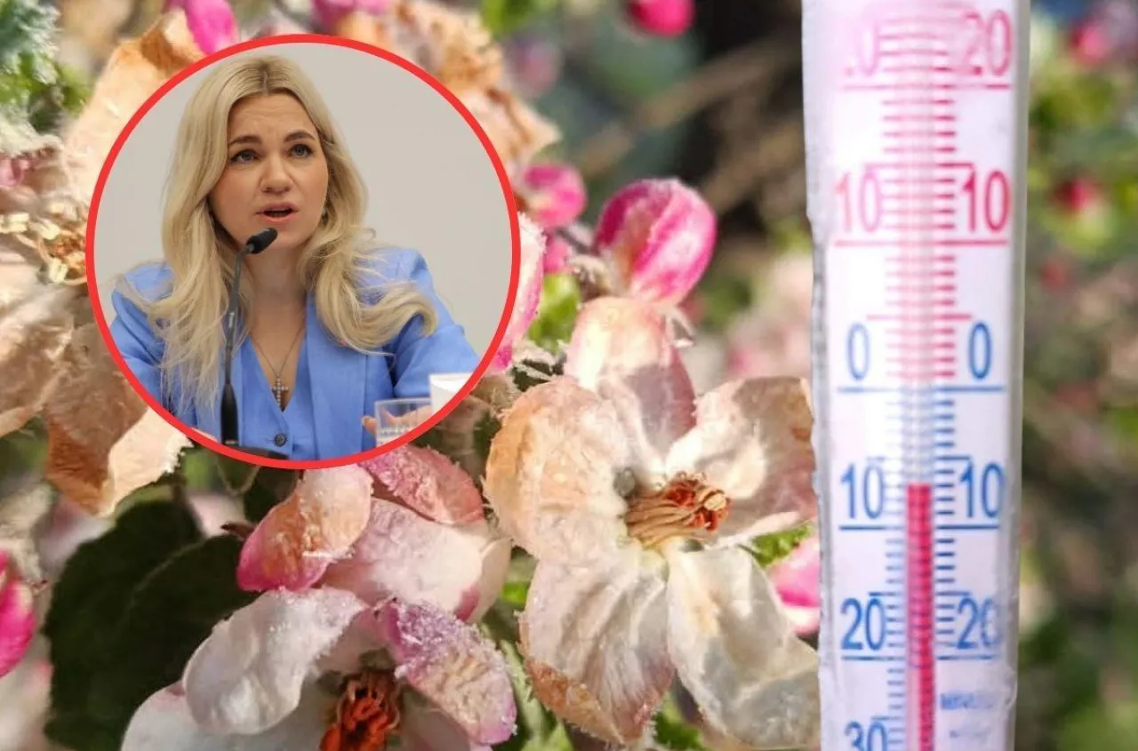 Kiedy pomoc dla rolników? Wiceminister podała harmonogram
