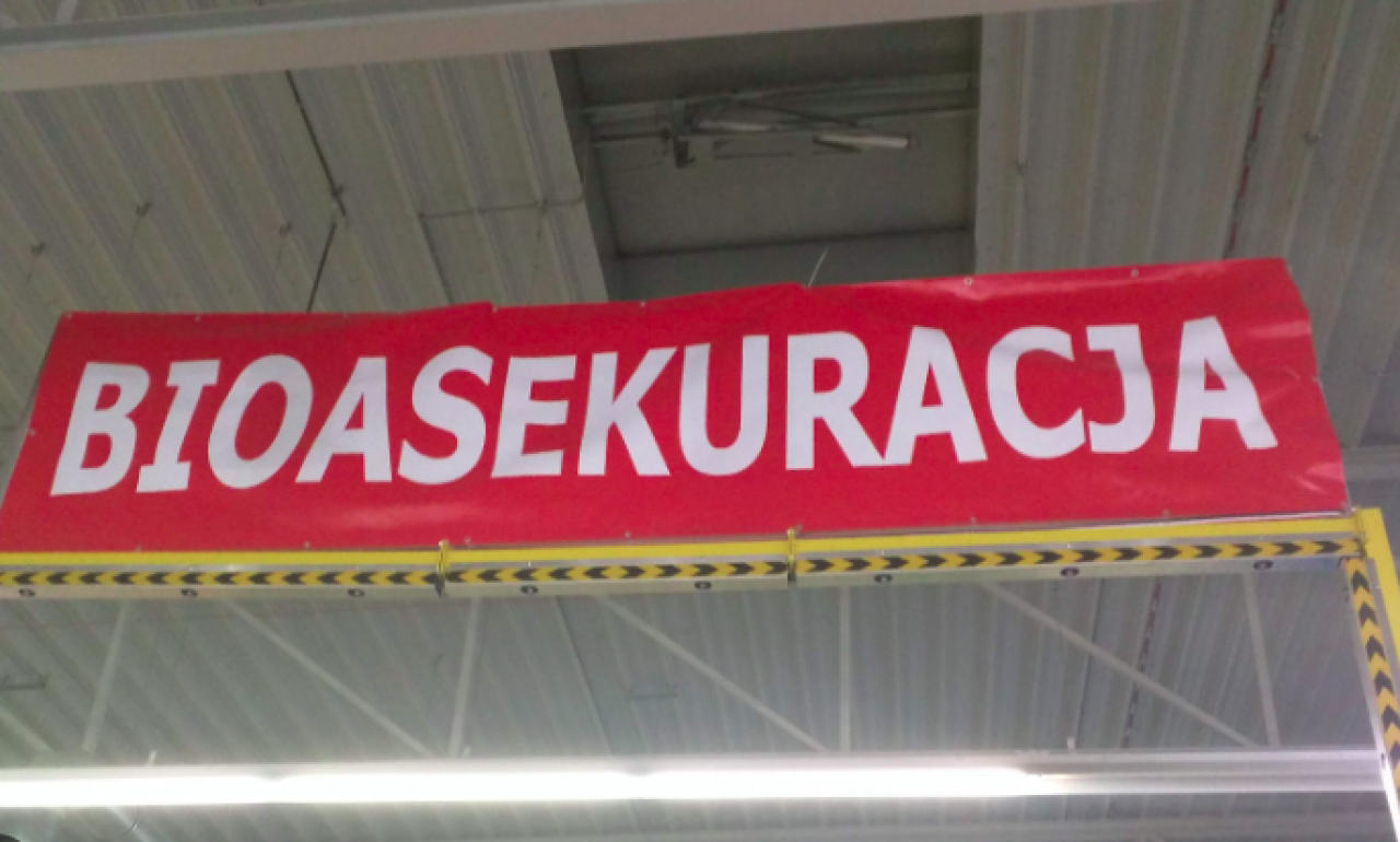 W przypadku ASF kluczowym postępowaniem bezpieczeństwa biologicznego jest szybka identyfikacja i usuwanie padłych dzików