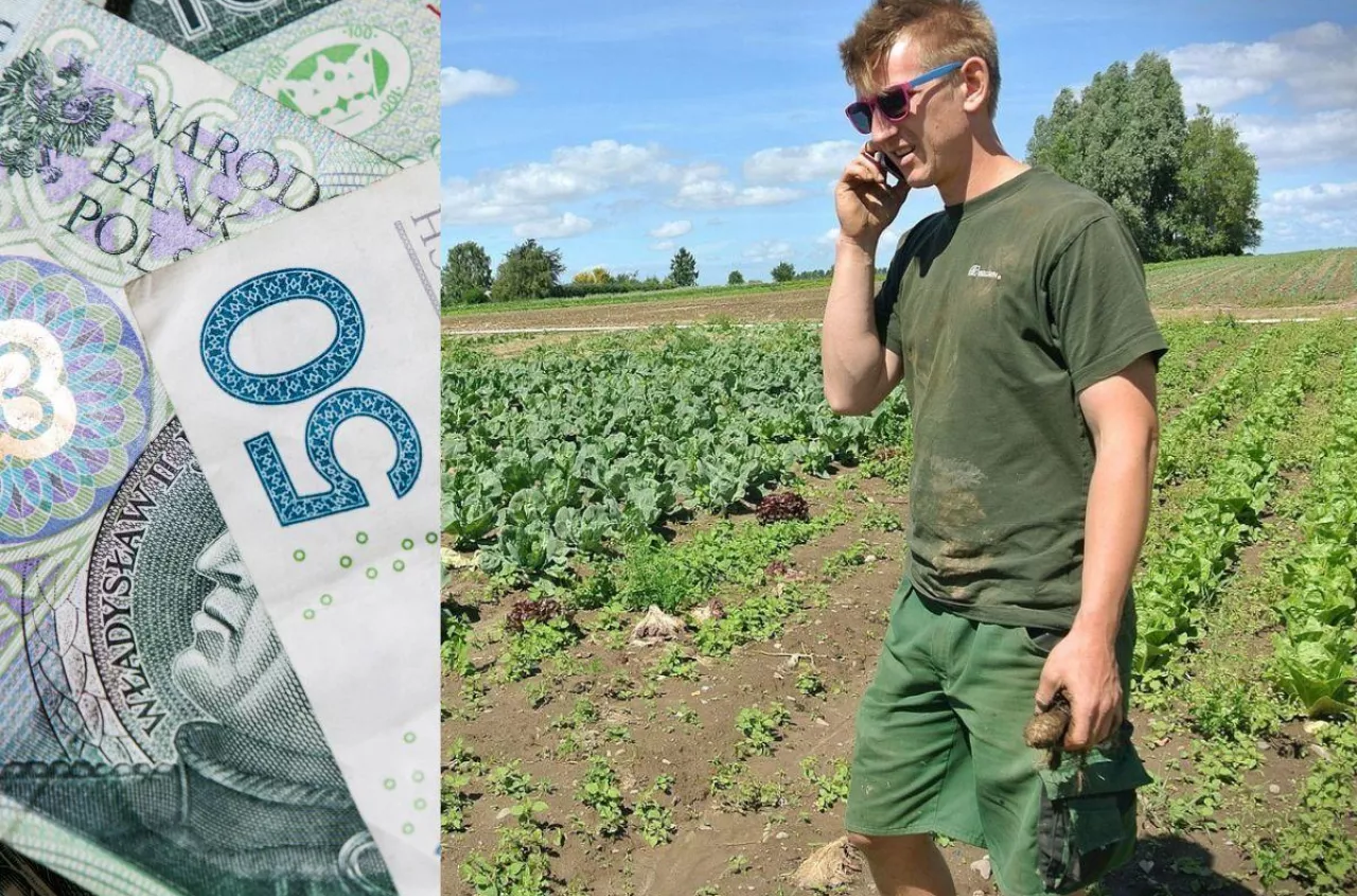 ARiMR daje choćby 300 tys. zł. Rusza nowy nabór dla rolników